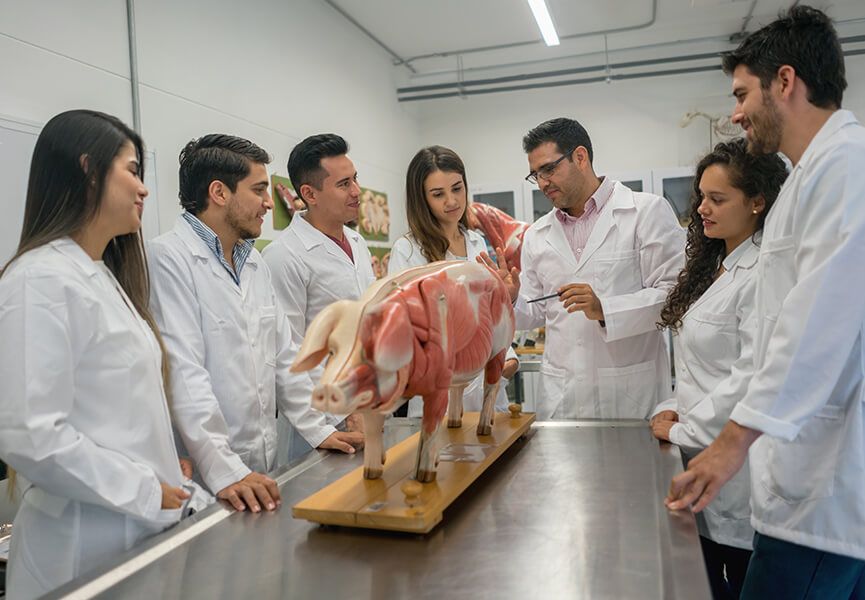 Medicina veterinaria y zootecnia-Fundación Universitaria San Martín-Bogotá